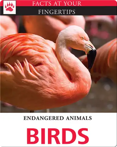 Endangered Animals: Birds book