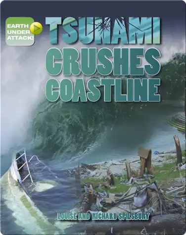 Tsunami Crushes Coastline book