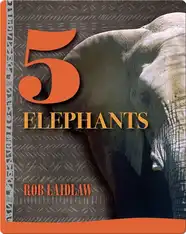5 Elephants
