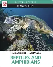 Reptiles and Amphibians