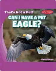 Can I Have a Pet Eagle?