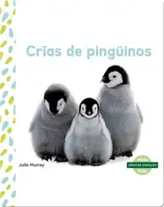 Crías de pingüinos