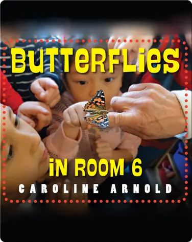 Butterflies in Room 6 book