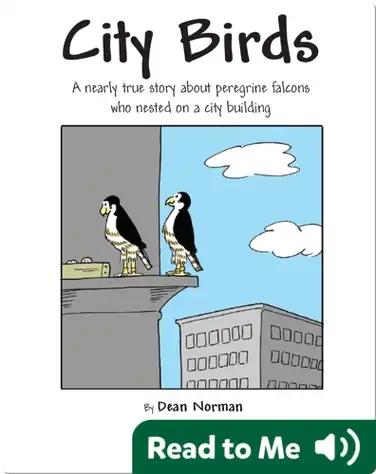 City Birds book