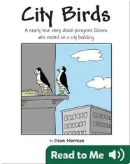 City Birds