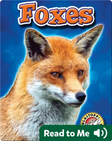 Foxes: Backyard WIldlife book