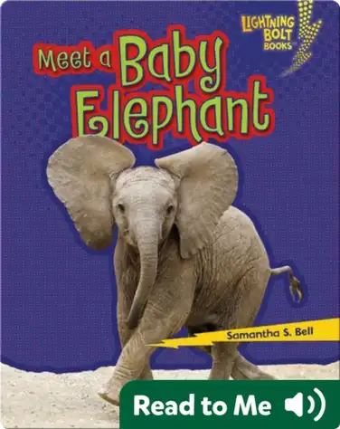 Meet a Baby Elephant book