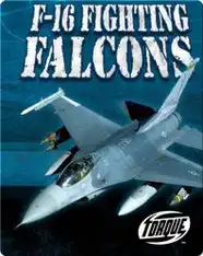 F-16 Fighting Falcons
