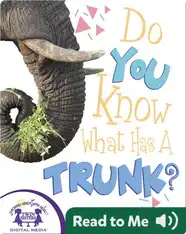 Do You Know What Has A Trunk?