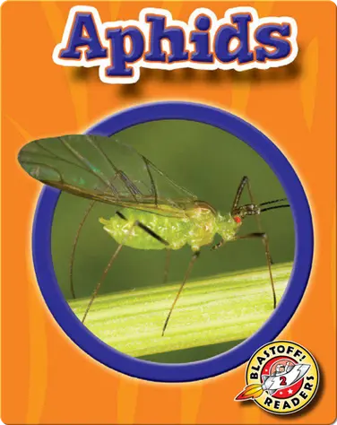 World of Insects: Aphids book