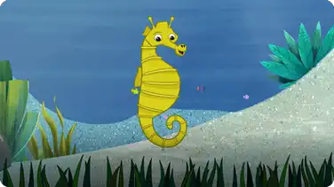 I’m A Seahorse book