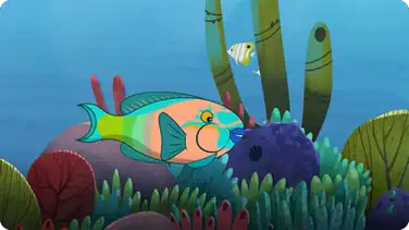 I’m A Parrot Fish book