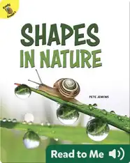 Shapes in Nature