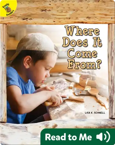 Where Does It Come From? book