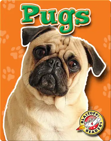 Pugs: Dog Breeds book
