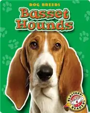 Basset Hounds: Dog Breeds