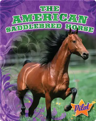The American Saddlebred Horse book