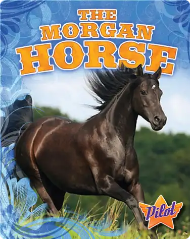The Morgan Horse book
