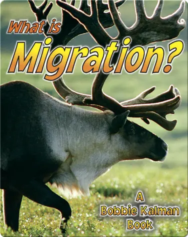 What is Migration? book