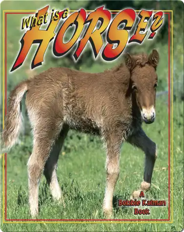 What is a Horse? book