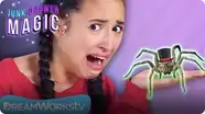 Pet Spider | JUNK DRAWER MAGIC