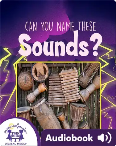 Can You Name These Sounds? book