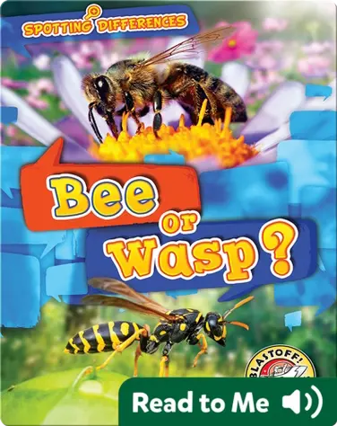 Bee or Wasp? book
