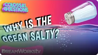 Why Is The Ocean Salty? | COLOSSAL QUESTIONS book