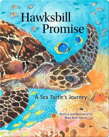 Hawksbill Promise book