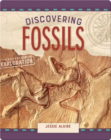 Discovering Fossils book