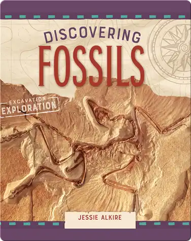 Discovering Fossils book