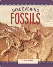 Discovering Fossils