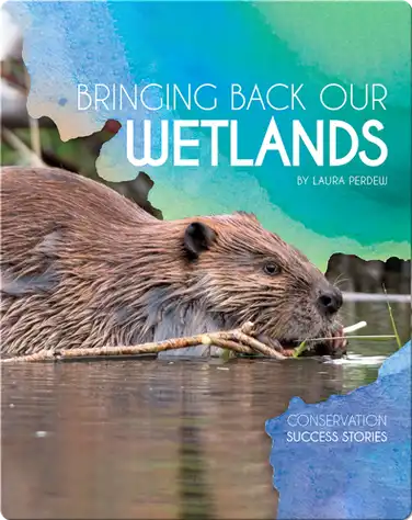 Bringing Back Our Wetlands book