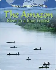 The Amazon River in a Rain Forest