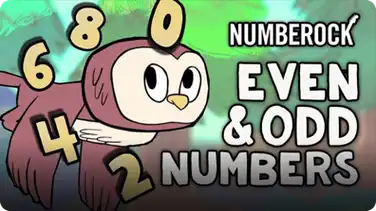 Even and Odd Numbers book