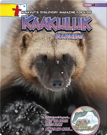 Kaakuluk: Wolverines! book