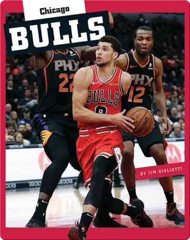 Insider's Guide to Pro Basketball: Chicago Bulls book