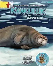 Kaakuluk: Bearded Seals