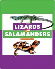 Comparing Animal Differences: Lizards and Salamanders