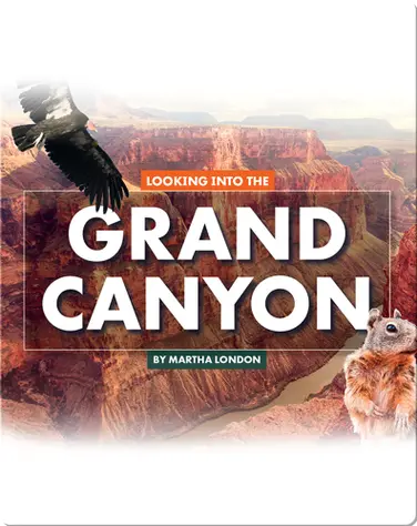 Looking at Layers: Looking Into the Grand Canyon book