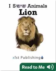 I See Animals: Lions