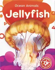 Ocean Animals: Jellyfish