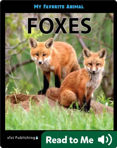 My Favorite Animal: Foxes book