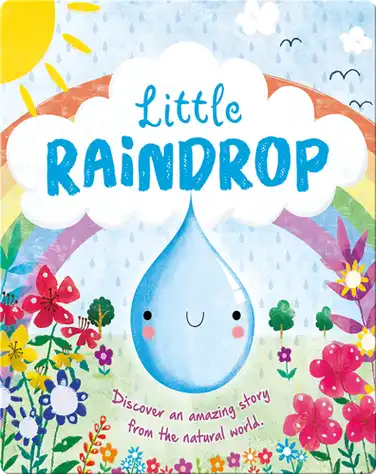 Little Raindrop book