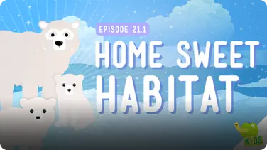 Crash Course Kids: Home Sweet Habitat book