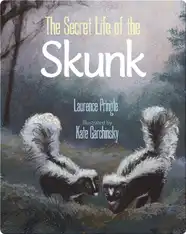 The Secret Life of the Skunk