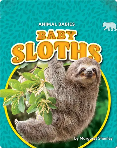 Animal Babies: Baby Sloths book