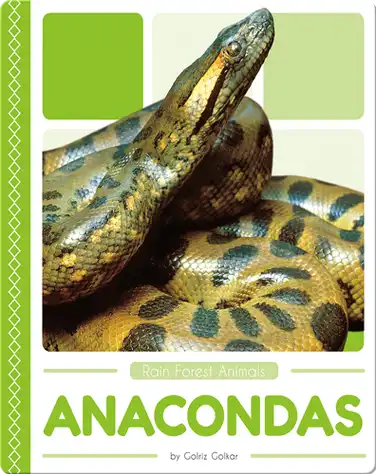 Rain Forest Animals: Anacondas book