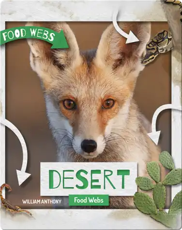 Desert Food Webs book