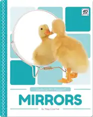 Science All Around: Mirrors